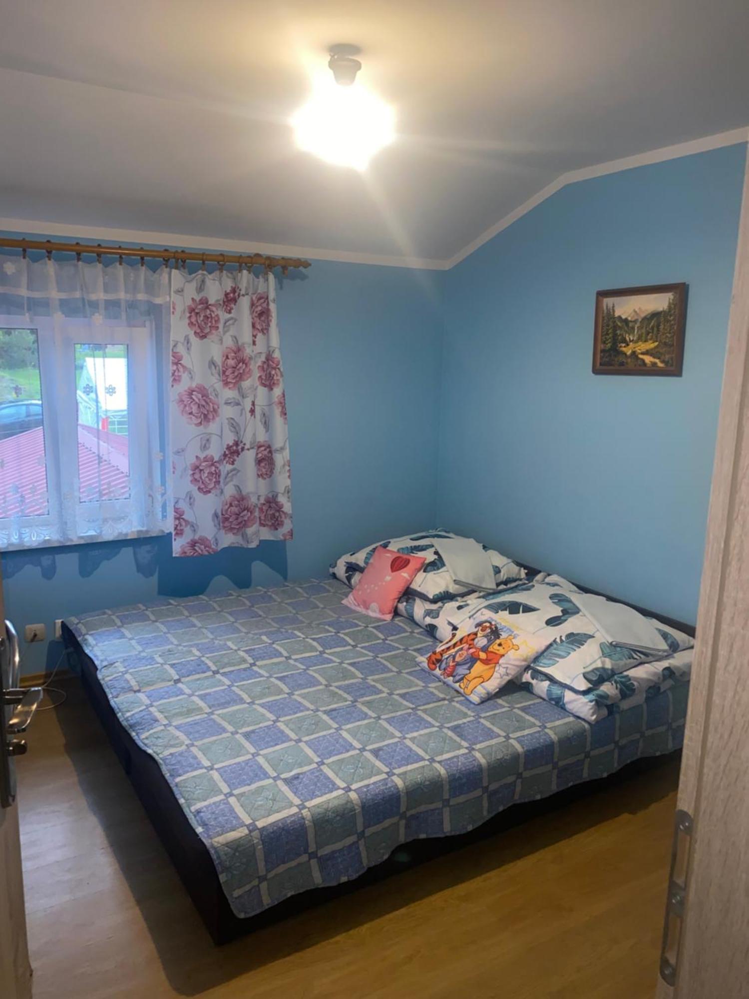 Kwatery Prywatne U Gosi Nad Solina Solina  Kültér fotó